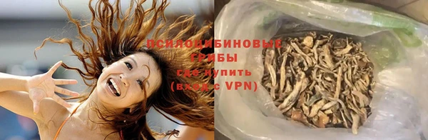 хмурый Ладушкин