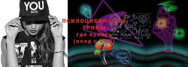 хмурый Ладушкин