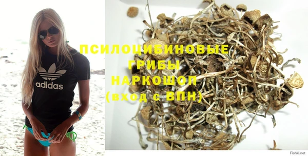 хмурый Ладушкин