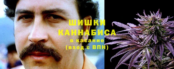 метадон Лагань