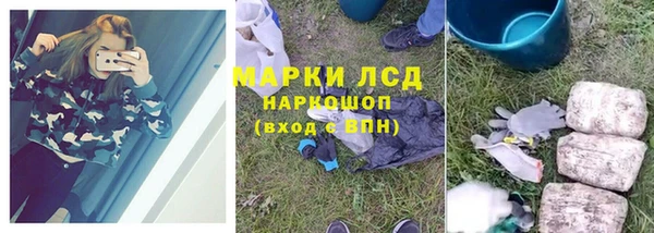 хмурый Ладушкин